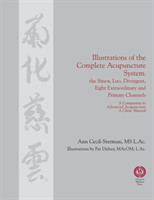 Illustrations of the Complete Acupuncture System The Sinew, Luo, Divergent, Eight Extraordinary, Pri