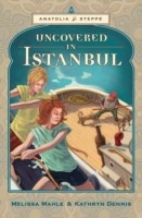 Uncovered in Istanbul