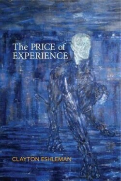 Price of Experience