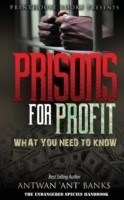 Prisons for Profit