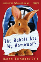 Rabbit Ate My Homework