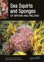 Sea Squirts and Sponges of Britain and Ireland