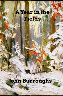 Year in the Fields