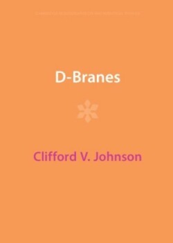 D-Branes