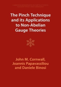 Pinch Technique and its Applications to Non-Abelian Gauge Theories