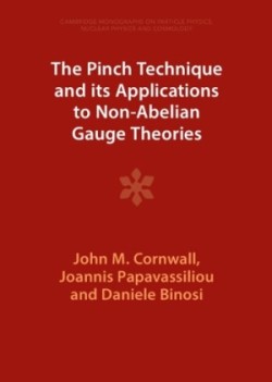 Pinch Technique and its Applications to Non-Abelian Gauge Theories