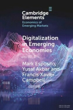 Digitalization in Emerging Economies