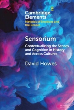 Sensorium