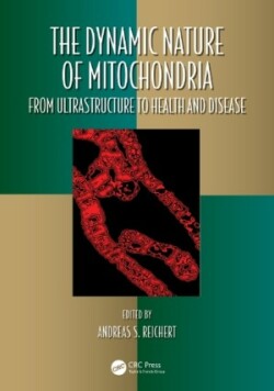 Dynamic Nature of Mitochondria