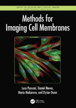 Methods for Imaging Cell Membranes