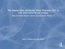 Human Brain during the Third Trimester 310– to 350–mm Crown-Rump Lengths