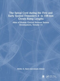 Spinal Cord during the First and Early Second Trimesters 4- to 108-mm Crown-Rump Lengths