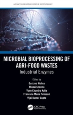 Microbial Bioprocessing of Agri-food Wastes: Industrial Enzymes