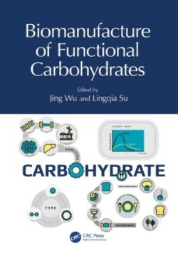 Biomanufacture of Functional Carbohydrates