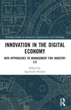 Innovation in the Digital Economy