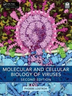 Molecular and Cellular Biology of Viruses