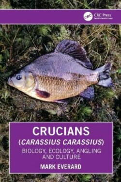 Crucians (Carassius carassius)