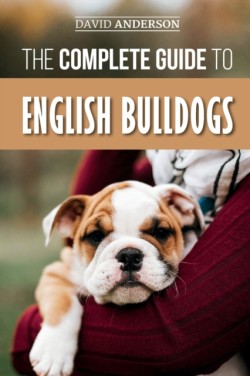 Complete Guide to English Bulldogs