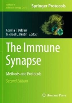 Immune Synapse