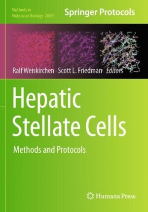 Hepatic Stellate Cells