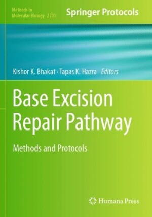 Base Excision Repair Pathway