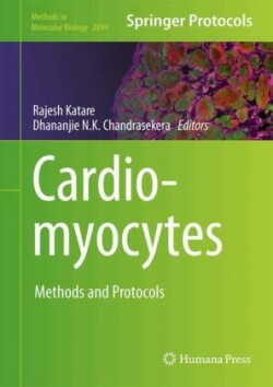 Cardiomyocytes