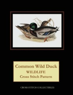 Common Wild Duck