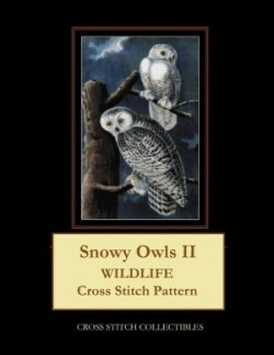 Snowy Owls II