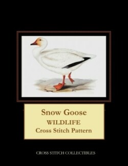 Snow Goose