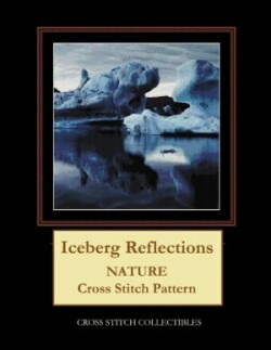 Iceberg Reflections