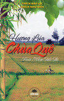 Hương lúa chùa quê