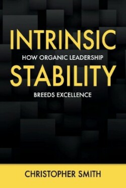 Intrinsic Stability