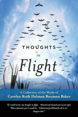 Thoughts In Flight