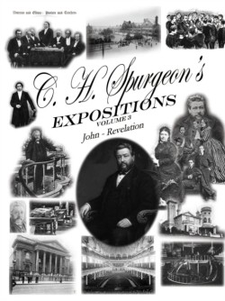 C. H. Spurgeon's Expositions Volume 3