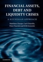 Financial Assets, Debt and Liquidity Crises