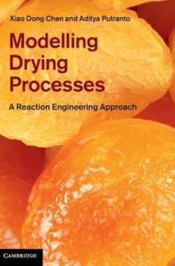 Modelling Drying Processes