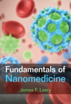 Fundamentals of Nanomedicine