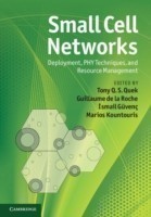 Small Cell Networks