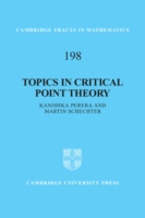 Topics in Critical Point Theory