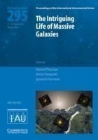 Intriguing Life of Massive Galaxies (IAU S295)