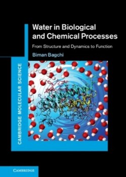 Water in Biological and Chemical Processes: From Structure and Dynamics to Function