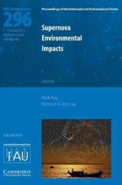 Supernova Environmental Impacts