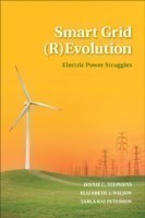 Smart Grid Evolution: Electric Power Struggles
