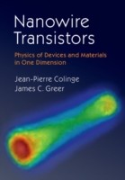 Nanowire Transistors