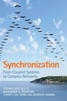 Synchronization From Coupled Systems to Complex Networks