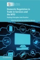 WTO Domestic Regulation and Services Trade