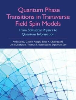 Quantum Phase Transitions in Transverse Field Spin Models