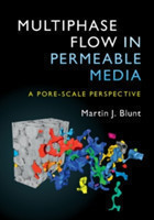 Multiphase Flow in Permeable Media