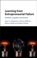 Learning from Entrepreneurial Failure