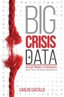 Big Crisis Data